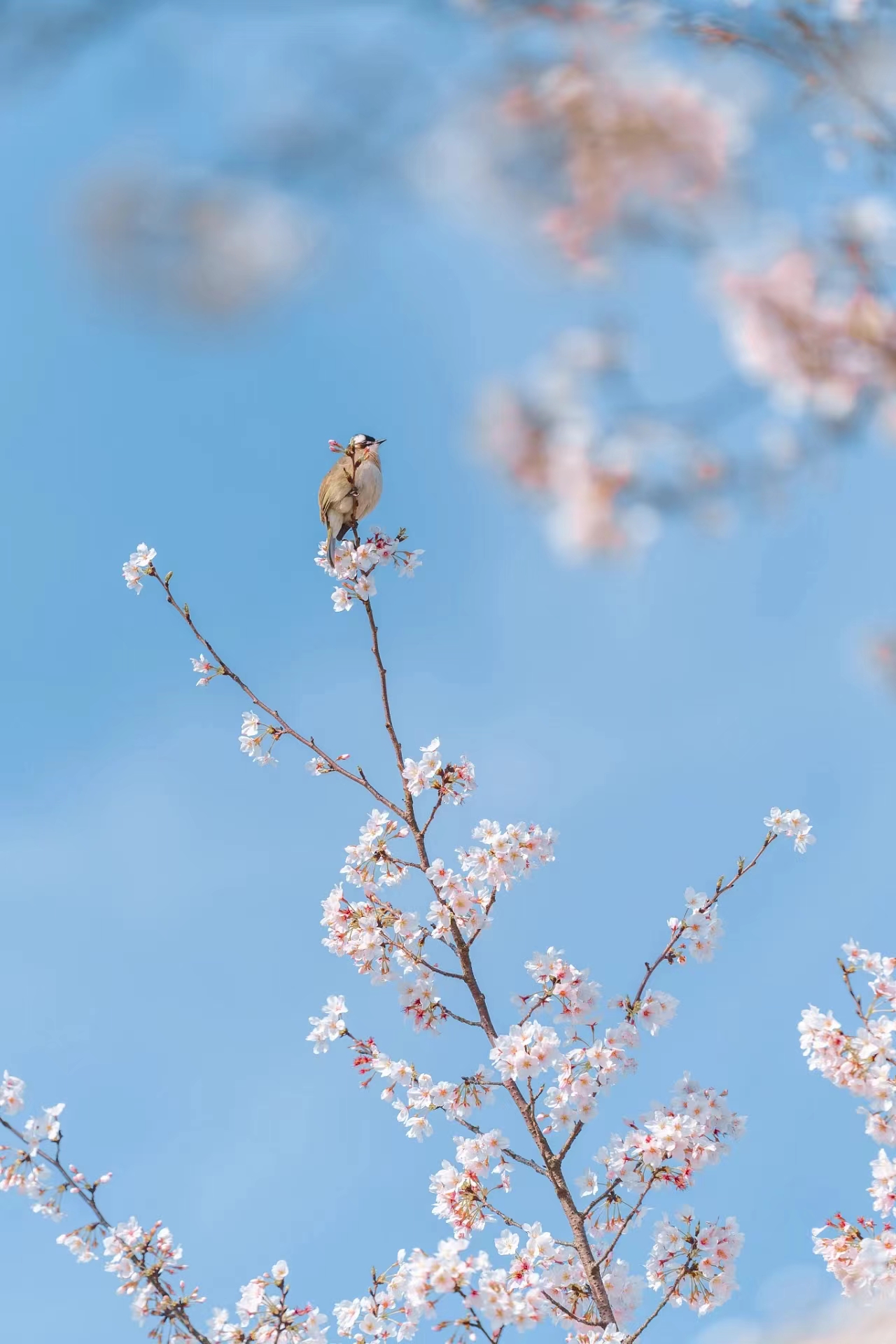 提前十分鐘，人生大不同